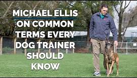 Michael Ellis on Common Terms Every Dog Trainer Should Know