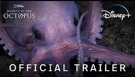 Secrets Of The Octopus | Official Trailer | Disney+