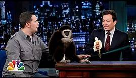 Jeff Musial: Otters, Gibbon and Water Buffalo, Part 1 (Late Night with Jimmy Fallon)