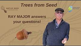 Ray Major Live! Trees from Seed