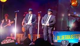 The Chicago Blues Brothers 2024 in Deutschland