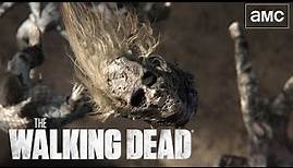The Walking Dead Season 11 Trailer: Trilogy