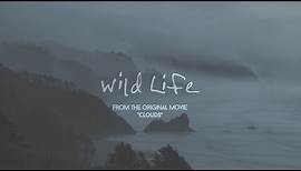OneRepublic - Wild Life (Lyric Video)