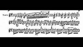 Mieczysław Karłowicz - Violin Concerto in A Major, Op. 8 (1902) [Score-Video]
