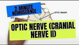 2-Minute Neuroscience: Optic Nerve (Cranial Nerve II)