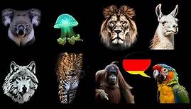 Learn German: What are the animals called in German?