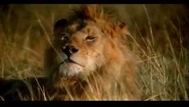 Africa: The Serengeti (Trailer)
