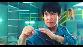 Top 12 Yuen Biao Fight Scenes