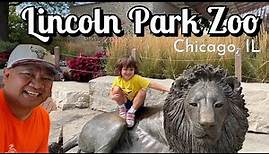 LINCOLN PARK ZOO Tour | Free Zoo In Chicago