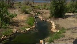 Warm Springs Natural Area - A Jewel in the Desert