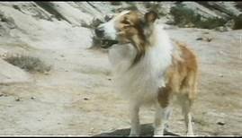 Lassie: The Miracle