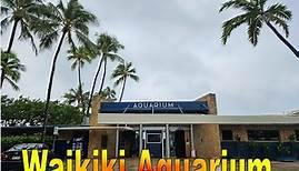 [4K] Visiting Waikiki Aquarium on 12/18/23 in Honolulu, Oahu, Hawaii