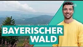 Bayerischer Wald - Deutschlands wilder Wald | Wunderschön | ARD Reisen