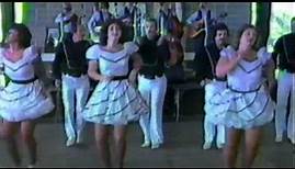 Fiddle Music with Clogging - Down Yonder - Randall Franks & Dixie Express Cloggers.wmv