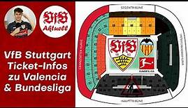 VfB Stuttgart: Ticket-Infos zu Valencia (teuer), Dauerkarte & Bundesliga