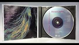 HERO * David Crosby and Phil Collins 1993 HQ