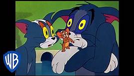 Tom und Jerry auf Deutsch | Der schläfrige Tom | WB Kids