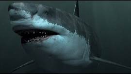 Megalodon - Der Größte Hai Aller Zeiten / Dokumentation