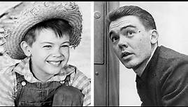 Miserable Life and Tragedy of Bobby Driscoll: He was Only 31