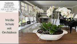 Orchideen effektvoll arrangieren & Tipps zur einfachen Pflege für eine lang anhaltende Blüte - DIY