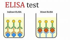 ELISA test