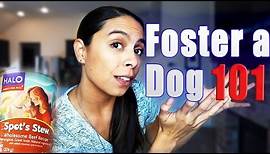 Foster Dog 101: Getting Started, Cost and Common Questions!