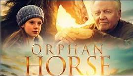 Orphan horse/ Full movie