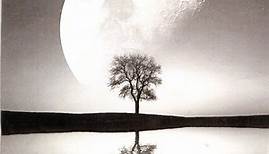 John Howard - To The Left Of The Moon's Reflection