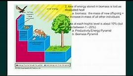 Ecosystems Part 1 Energy