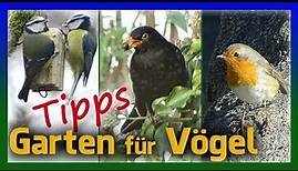 Garten für Vögel | vogelfreundliche Tipps