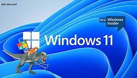 Windows 11 Insider: Programm aktivieren