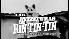 Las Aventuras de Rin Tin Tin - Serie de TV ( Español Latino )