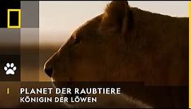 PLANET DER RAUBTIERE - Königin der Löwen | National Geographic