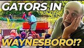 WAYNESBORO VIRGINIA TOUR: All About Living in Waynesboro Virginia 2023 | Moving To Waynesboro VA