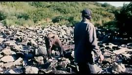 Grizzly Man Trailer HD