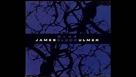 James Blood Ulmer – Blue Blood [Full Album]