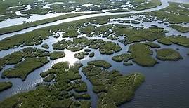 Louisiana Rivers and Bayous