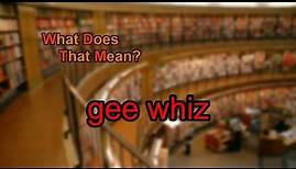 What does gee whiz mean?