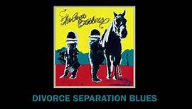 The Avett Brothers - Divorce Separation Blues