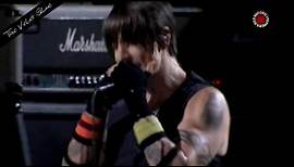 Red Hot Chili Peppers - The Velvet Glove - Live in Chorzów