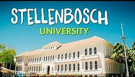 Auslandssemester in Südafrika mit AIFS an der Stellenbosch University