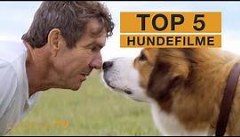 TOP 5: Hundefilme [Realfilm]