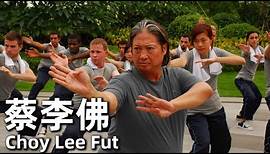 【ENG SUB】蔡李佛 (2011) | Choy Lee Fut (洪金寶，黃嘉樂，元華) | 中國拳法遭受挑戰，年輕的接班人如何應對【1080P】|#經典華語老電影
