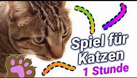 Katzenspiel - Laserlichtpunkt - 1 STUNDE - Videospiel für Katzen! Bunter Wurm zum Fangen 🐈 Fernseher