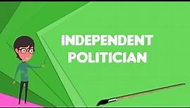What is Independent politician?, Explain Independent politician, Define Independent politician
