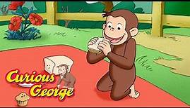 George Goes on a Picnic 🐵 Curious George 🐵 Kids Cartoon 🐵 Kids Movies