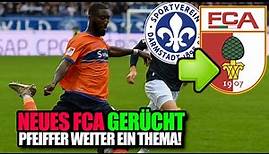 PFEIFFER ZU FCA GERÜCHT! ➡️ FC Augsburg zeigt weiter Interesse an Patric Pfeiffer von Darmstadt 98