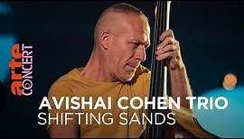 Avishai Cohen Trio - Shifting Sands Session - ARTE Concert