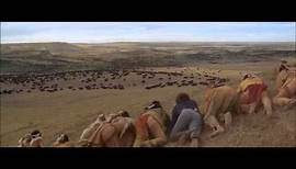 View of the Buffalo Field (Director's Cut)