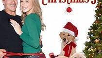 A Golden Christmas 3 - movie: watch streaming online